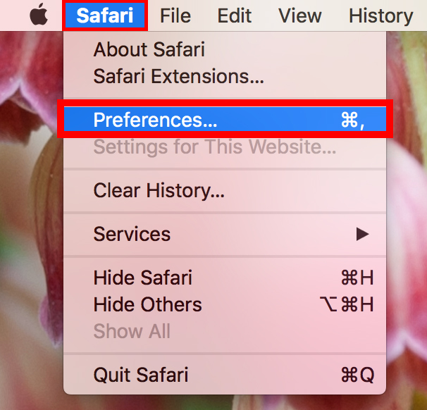 safari preferences.jpg